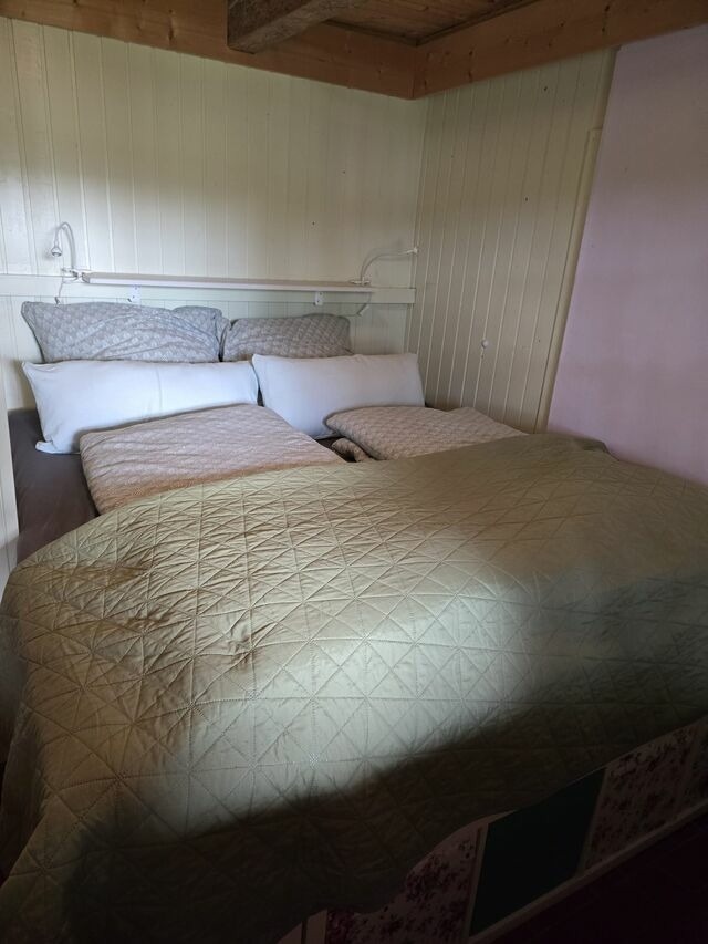 Ferienwohnung in &Ouml;lendorf - Urlaub unterm Reet - Bild 7