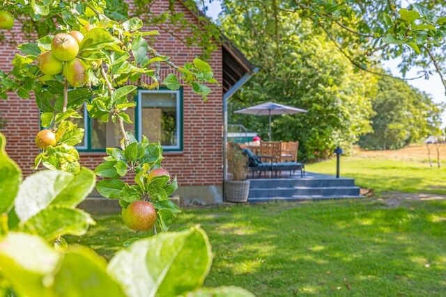 Ferienhaus in Maasholm - Hummerkoje - Bild 16