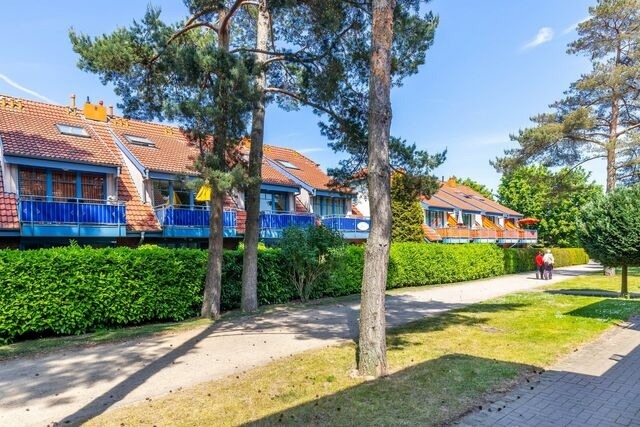 Ferienwohnung in Boltenhagen - Papillon 7-6 Wohnung "kleine Heimat" - Bild 21