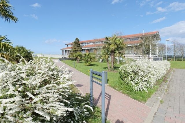 Ferienwohnung in Hohen Wieschendorf - Ostseetraum No. 32 - Aurora Vista - ABC32 - Bild 13