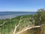 Ferienhaus in Hohen Wieschendorf - Strandhaus Fiete - Haus Walfisch - ABC330 - Bild 11
