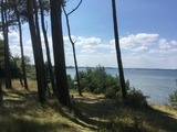 Ferienhaus in Hohen Wieschendorf - Strandhaus Fiete - Haus Walfisch - ABC330 - Bild 22