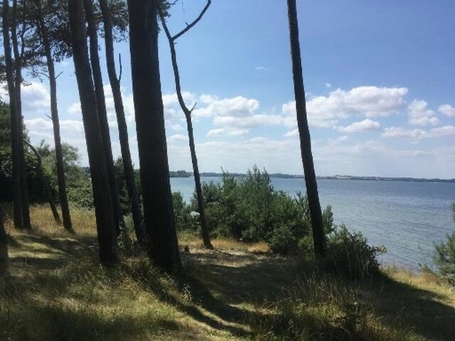 Ferienhaus in Hohen Wieschendorf - Strandhaus Fiete - Haus Walfisch - ABC330 - Bild 22