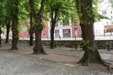 Ferienwohnung in Wismar - NikolaiTraum in der Altstadt - ebenerdig - ABC295 - Bild 14