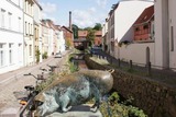 Ferienhaus in Zierow - Strandl&ouml;per mit Sauna an der Ostsee - ABC604 - nur Ferieng&auml;ste! - Bild 22