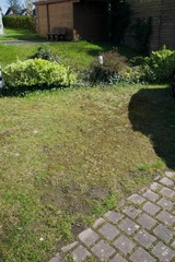 Ferienwohnung in K&uuml;hlungsborn - Haus Bernstein - 53-11 - Bild 10