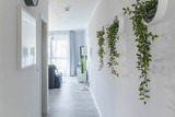 Ferienwohnung in Hohenkirchen-Niendorf - Haus Seeblick Wohnung 07 - Bild 15