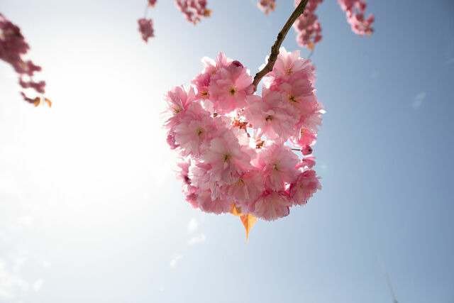 Ferienwohnung in M&ouml;nchgut - Haus an der D&uuml;ne Wohnung 9 - Bild 16