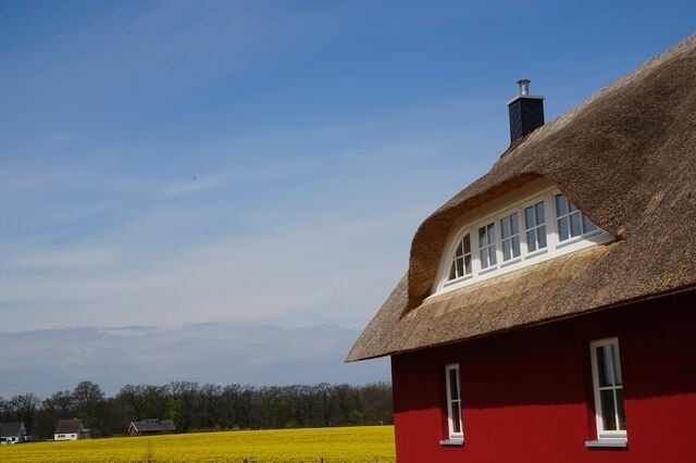 Ferienhaus in Zierow - Reethaus "Schwarze Perle" - Bild 9
