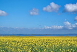 Ferienhaus in Zierow - Reethaus "Swantewit" - Bild 9