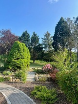 Ferienwohnung in Mariendorf - Naturidyll Mariendorf - Ferienwohnung Mammutbaum - Bild 1