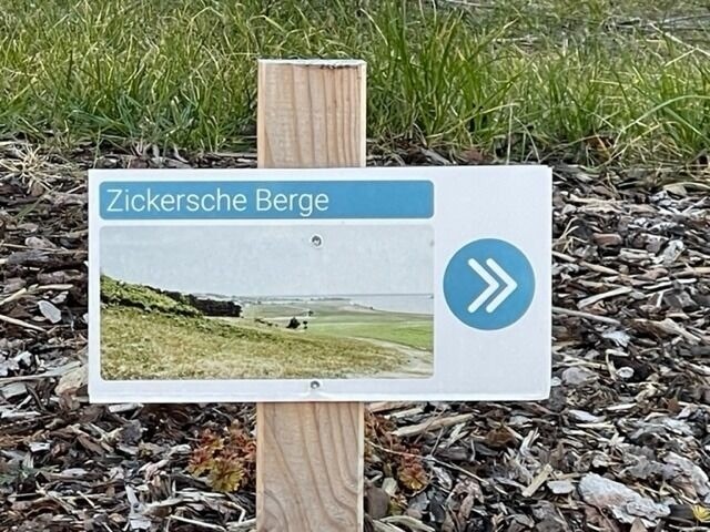 Ferienwohnung in Mariendorf - Naturidyll Mariendorf - Ferienwohnung Zickersche Berge - Bild 19