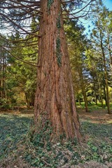 Ferienwohnung in Mariendorf - Naturidyll Mariendorf - Ferienwohnung Zickersche Berge - Bild 20