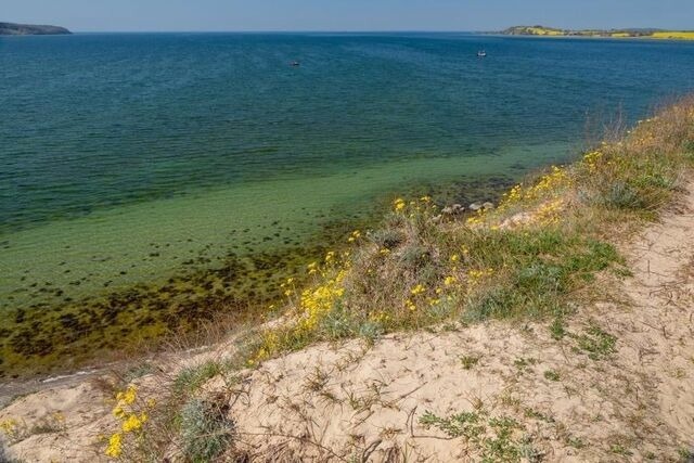 Ferienwohnung in Mariendorf - Naturidyll Mariendorf - Ferienwohnung Zickersche Berge - Bild 23