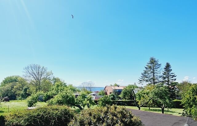 Ferienwohnung in Rerik - Ferienwohnung ArtMare - Bild 23