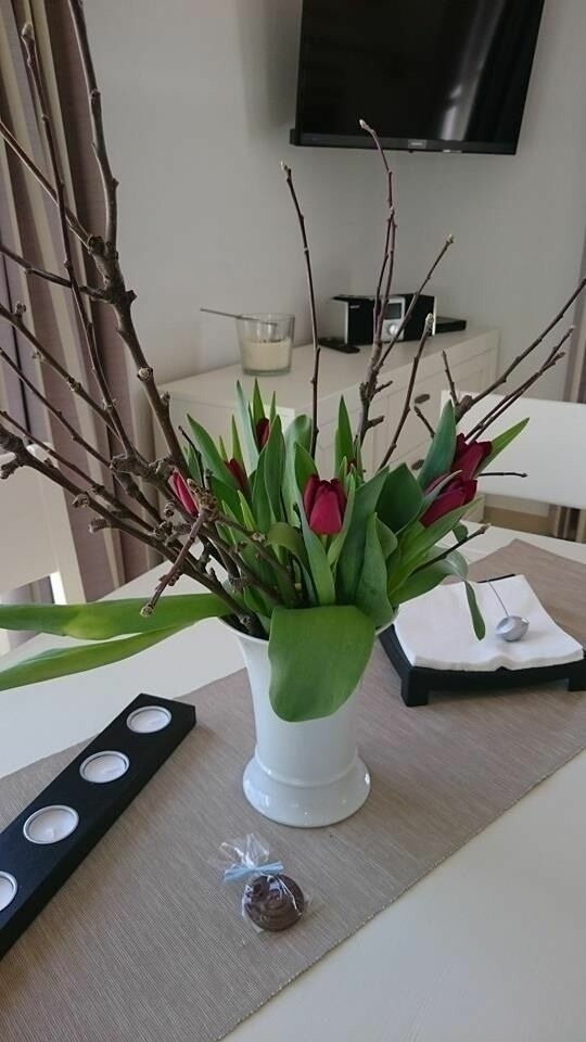Ferienhaus in Zierow - Reethaus "Calappa" - Bild 5