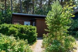 Ferienhaus in Baabe - Ferienhaus am Strand 88 - Bade- & Erlebniswelt t&auml;glich inklusive - Bild 16