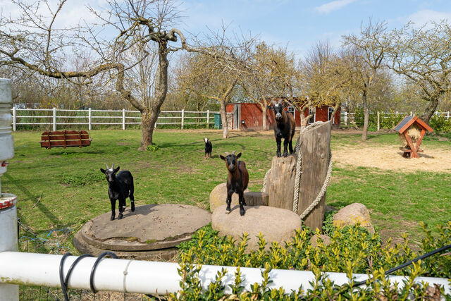 Ferienwohnung in Klaustorf - G&auml;stehaus am Hengstkamp L&uuml;tte Deern - Bild 23