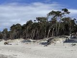 Ferienwohnung in Born a. Dar&szlig; - Ahoi Dar&szlig;koje - Weststrand